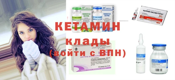 индика Аркадак