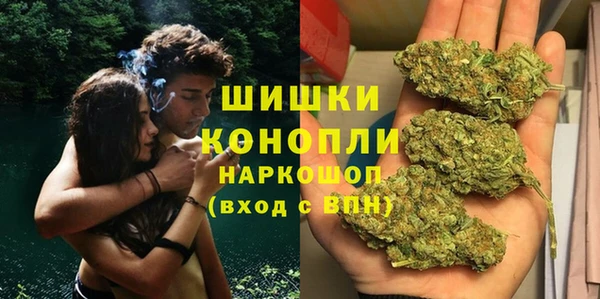 индика Аркадак