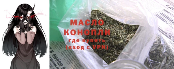 индика Аркадак
