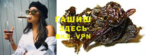 индика Аркадак
