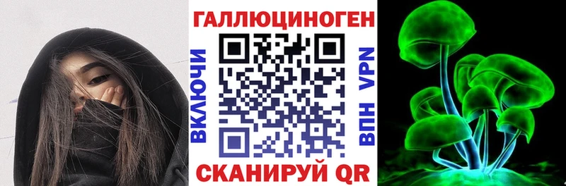хочу наркоту  Струнино  Псилоцибиновые грибы Cubensis 